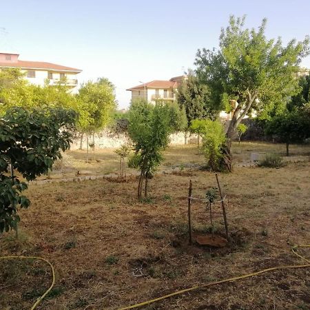 Modica Relax Garden Daire Dış mekan fotoğraf